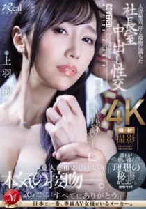 JUQ-551 Pedoman Menjadi Sekretarisku – Aya Ueha