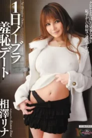 MIDD-749 Seharian Berhubungan Seks – Rina Aizawa